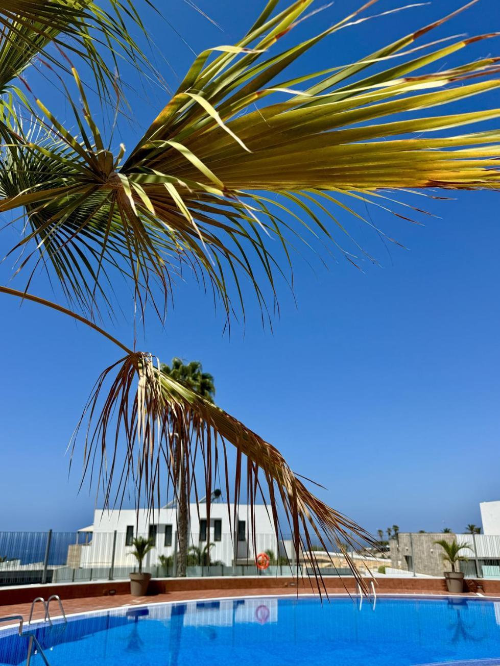 Stunning With Pool Tenerife * Costa Adeje (Tenerife)