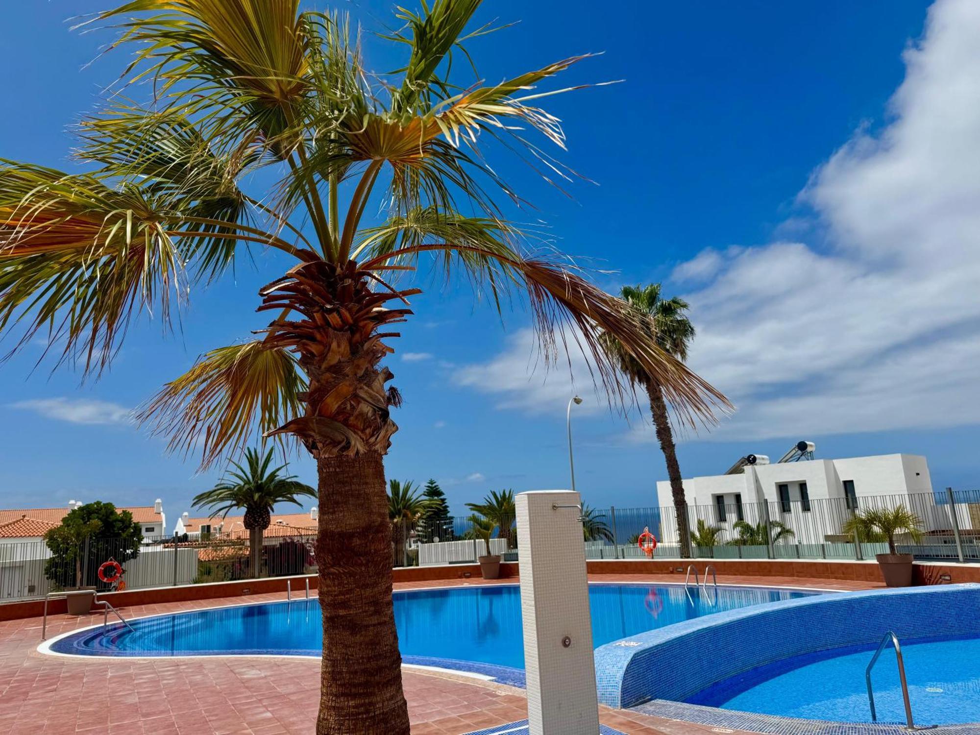Apartment Stunning With Pool Tenerife