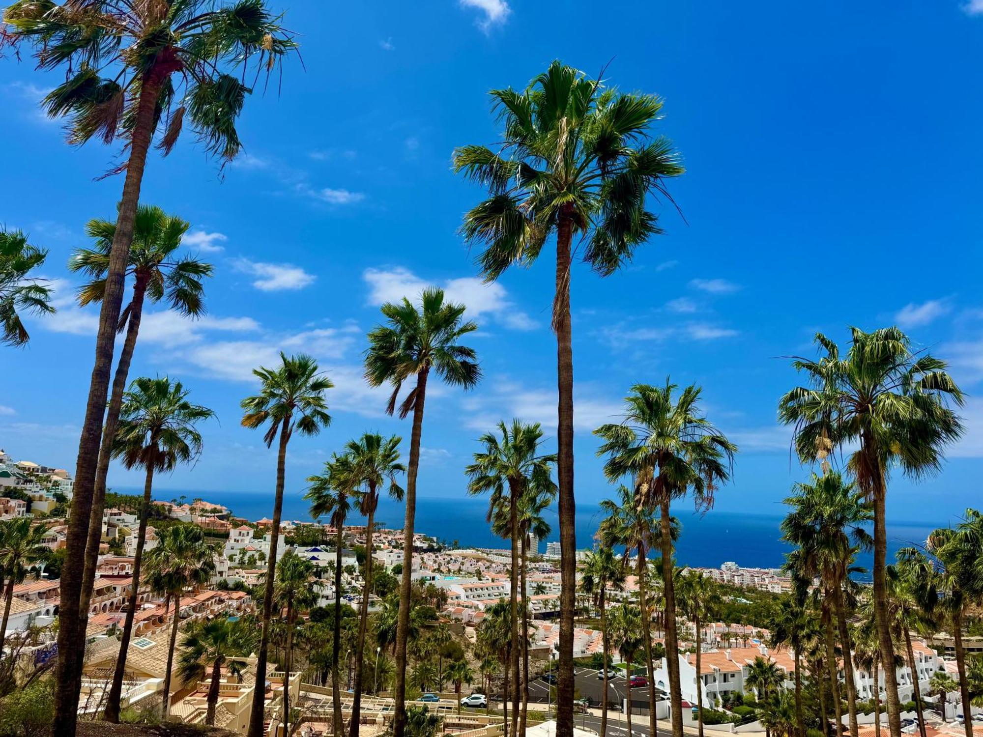 Apartment Stunning With Pool Tenerife *